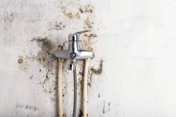 Professional Mold Remediation in Oceano, CA