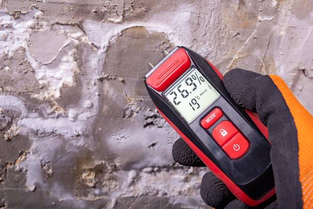 Best Basement Mold Remediation in Oceano, CA