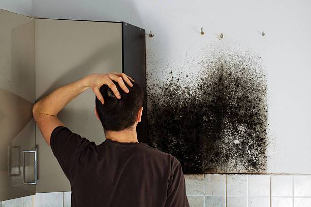Best Crawl Space Mold Remediation in Oceano, CA